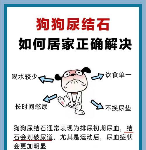 狗狗乱尿原因及解决方法全攻略,告别随地大小便烦恼 狗狗乱尿原因及解决方法全攻略,告别随地大小便烦恼
