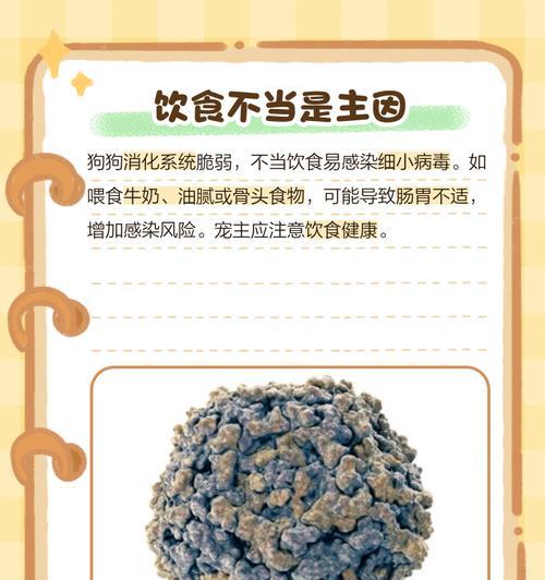 狗狗乱尿原因及解决方法全攻略,告别随地大小便烦恼 狗狗乱尿原因及解决方法全攻略,告别随地大小便烦恼