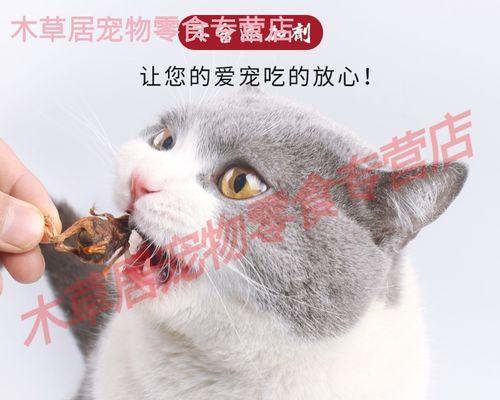 猫咪零食选择指南|15种健康美味零食推荐 猫咪零食选择指南|15种健康美味零食推荐
