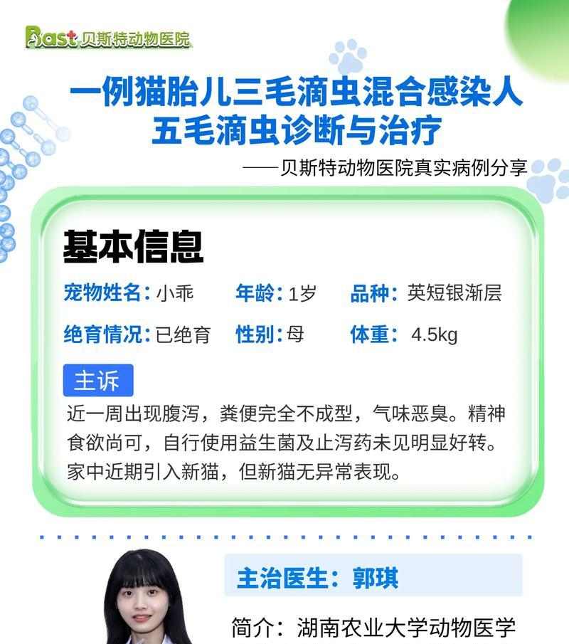 猫咪拉稀多久能好｜原因分析与治疗全攻略