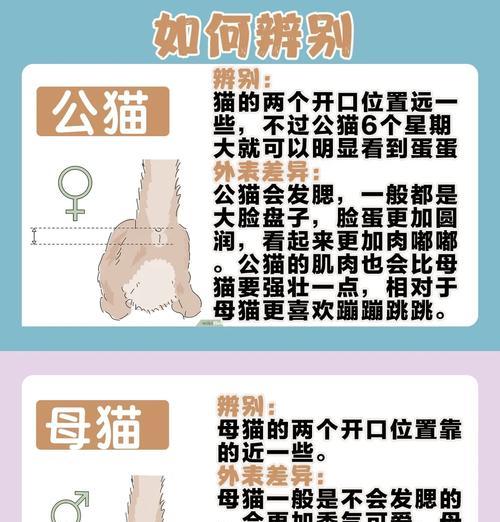 母猫剃毛后多久长新毛发｜护理要点全攻略