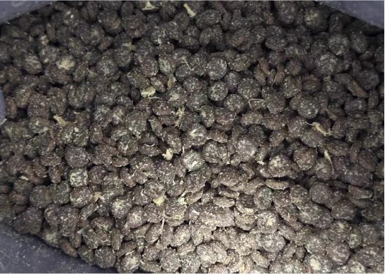 聪颖无谷成猫粮测评｜性价比之选全攻略