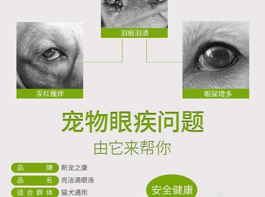宠物洗眼液保质期多久|使用注意事项全攻略 宠物洗眼液保质期多久|使用注意事项全攻略