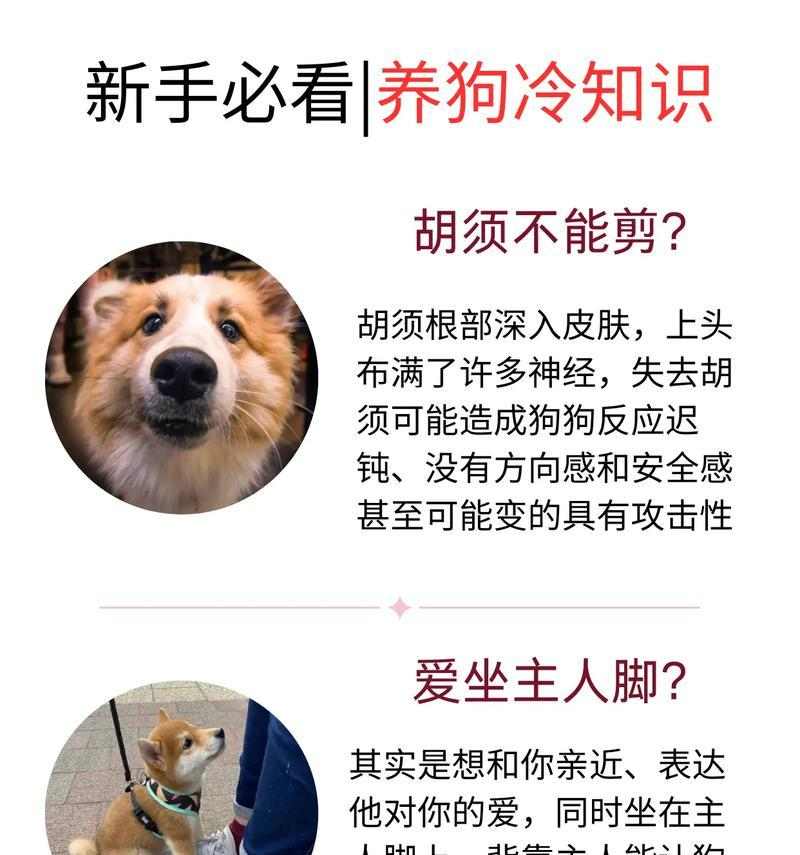 养护知识