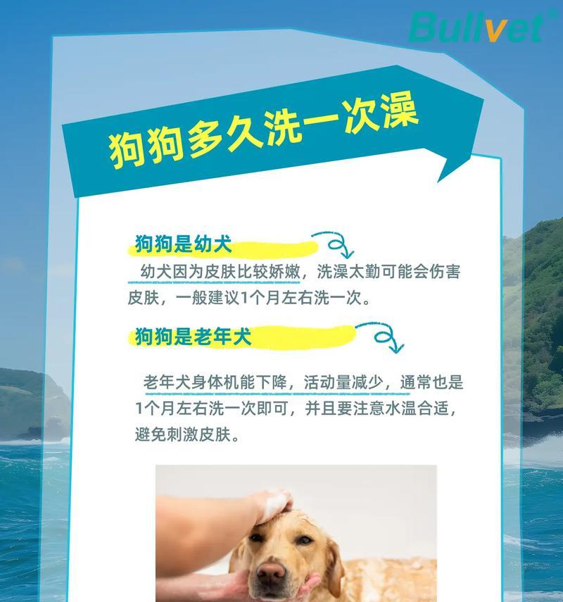 狗狗喷皮肤药水舔食时间全攻略|科学用药不焦虑 狗狗喷皮肤药水舔食时间全攻略|科学用药不焦虑