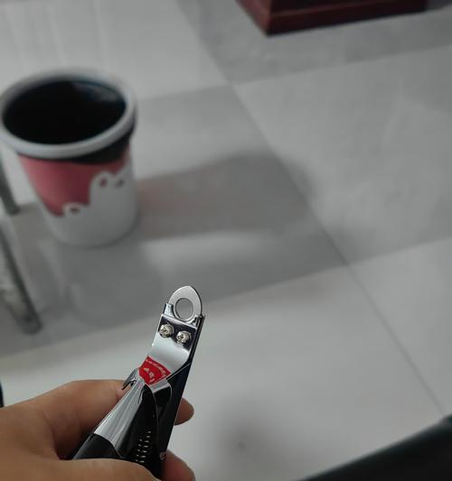 狗狗指甲修剪频率与技巧全攻略|实用指南 狗狗指甲修剪频率与技巧全攻略|实用指南