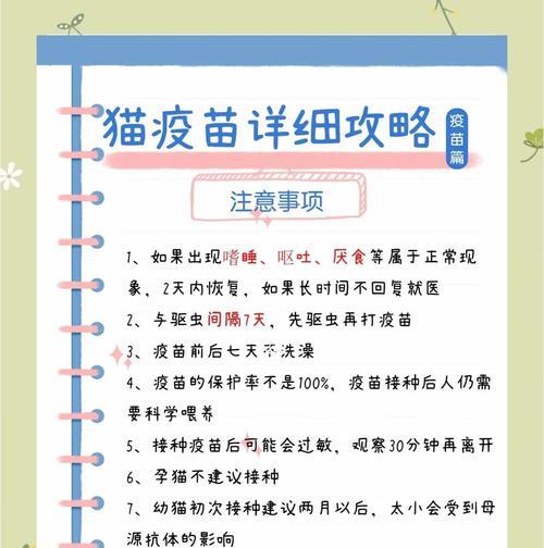 猫咪牙齿健康与疫苗保护全攻略|宠物养护核心技巧 猫咪牙齿健康与疫苗保护全攻略|宠物养护核心技巧