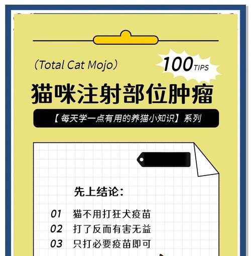 猫咪牙齿健康与疫苗保护全攻略|宠物养护核心技巧 猫咪牙齿健康与疫苗保护全攻略|宠物养护核心技巧