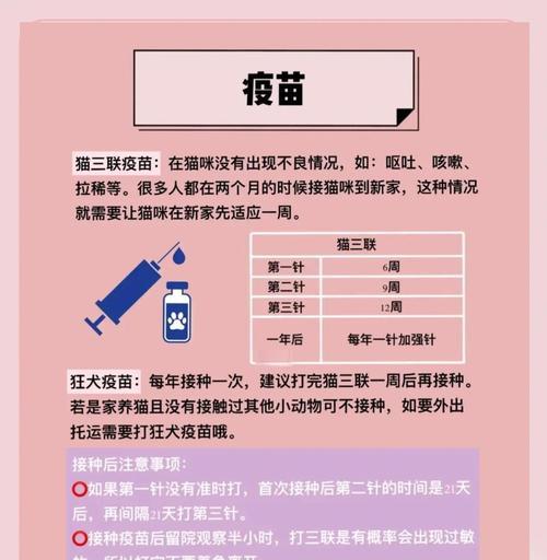 猫咪牙齿健康与疫苗保护全攻略|宠物养护核心技巧 猫咪牙齿健康与疫苗保护全攻略|宠物养护核心技巧