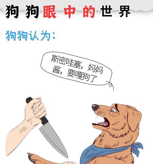 狗狗指甲修剪频率与技巧全攻略|实用指南 狗狗指甲修剪频率与技巧全攻略|实用指南