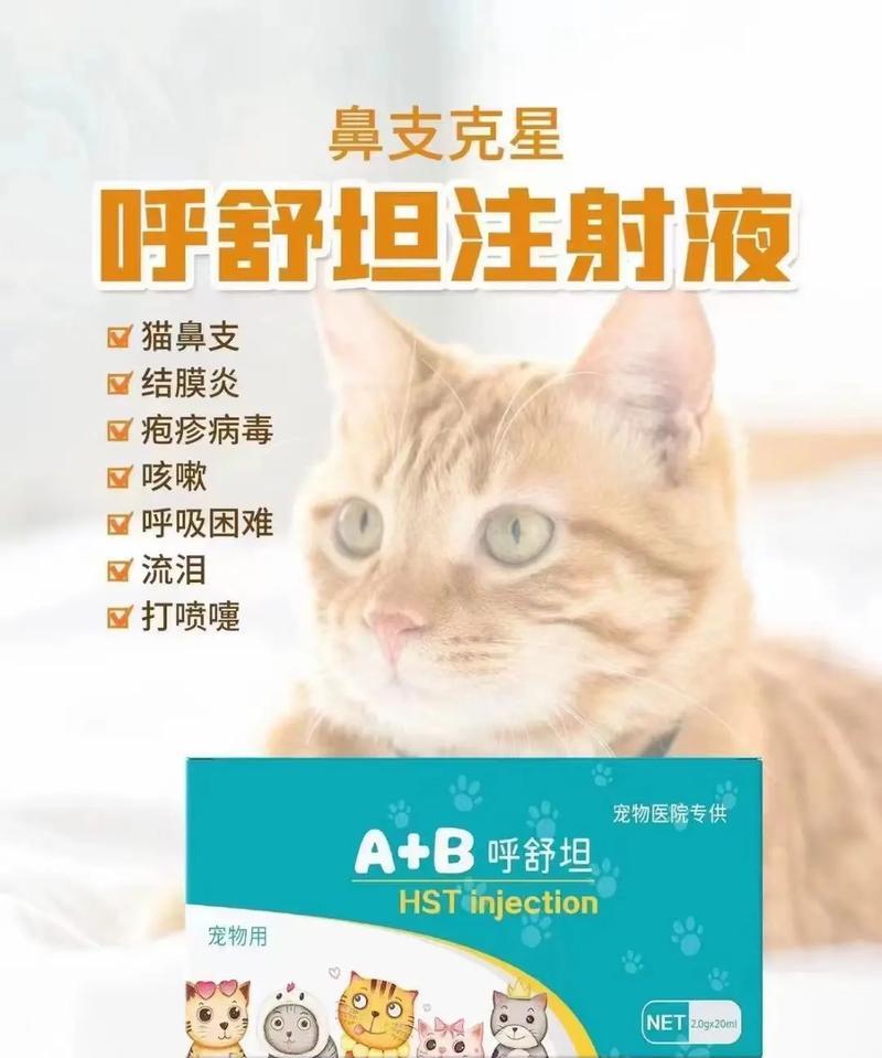 猫支原体感染全攻略|预防与治疗关键要点 猫支原体感染全攻略|预防与治疗关键要点