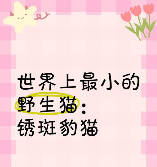 探秘世界上最小的猫咪｜锈斑豹猫的神奇能力全攻略