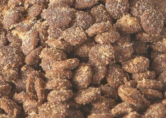 聪颖幼猫猫粮测评|高肉含量猫粮推荐 聪颖幼猫猫粮测评|高肉含量猫粮推荐