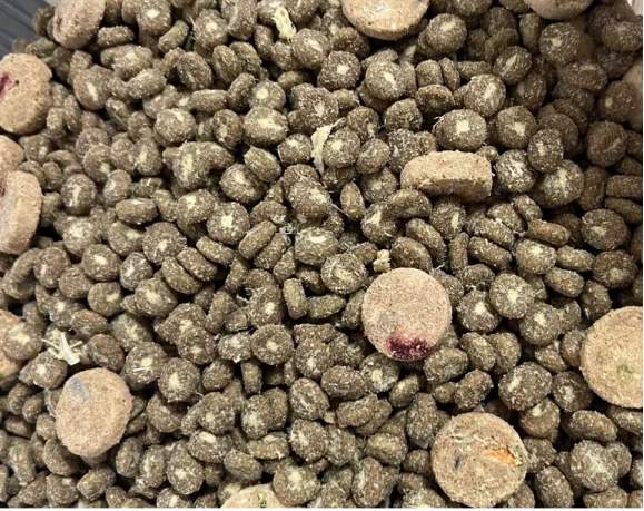 蓝氏荒野猎兔冻干狗粮评测|全面解析营养与适口性 蓝氏荒野猎兔冻干狗粮评测|全面解析营养与适口性