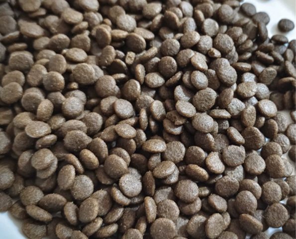 有鱼五种深海鱼猫粮测评|美毛效果真实反馈 有鱼五种深海鱼猫粮测评|美毛效果真实反馈