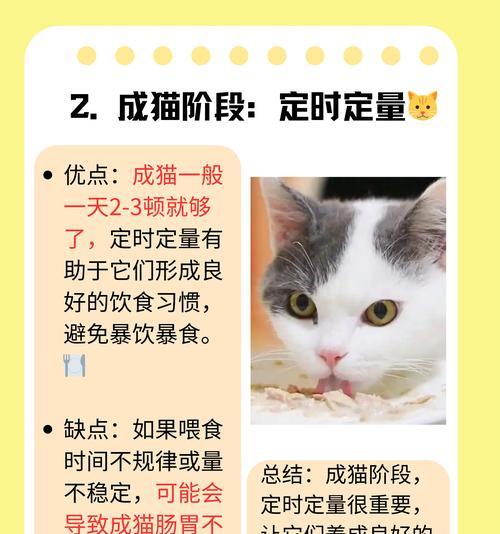 猫咪多久不喝水正常|健康饮水指南全攻略 猫咪多久不喝水正常|健康饮水指南全攻略