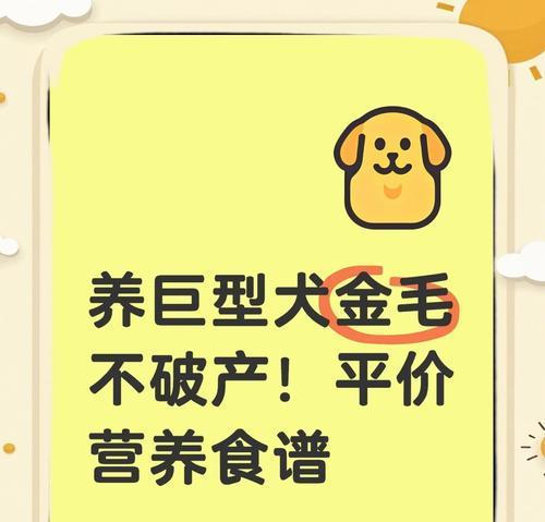 金毛犬饮食标准与肥胖判断｜科学养护实用指南