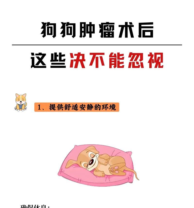 狗手术后康复时间及注意事项｜实用指南