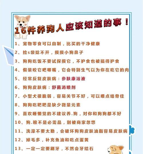 狗狗冷知识全攻略|养狗人必知的50个秘密 狗狗冷知识全攻略|养狗人必知的50个秘密