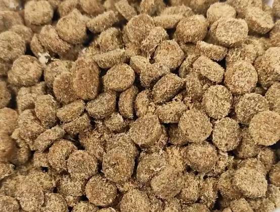 万迪诺烘焙猫粮评测:高蛋白95%动物原料适口性如何 万迪诺烘焙猫粮评测:高蛋白95%动物原料适口性如何