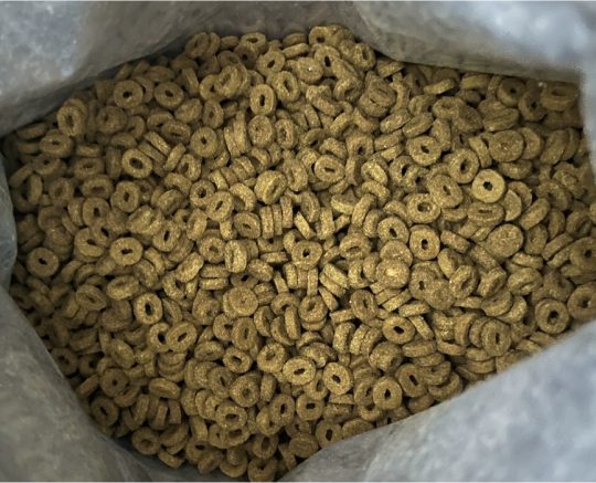 滋奇鸭肉梨烘焙猫粮评测:清热降火配方高性价比选择 滋奇鸭肉梨烘焙猫粮评测:清热降火配方高性价比选择