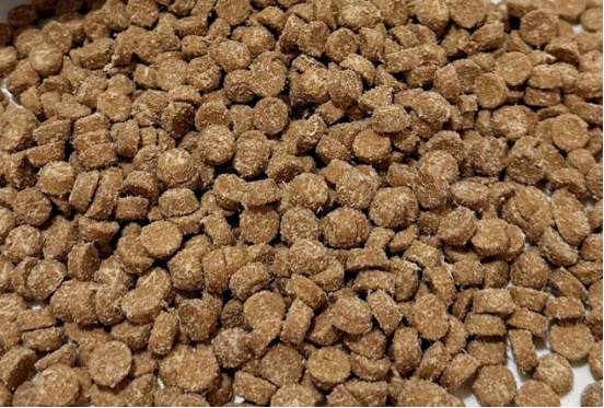 伯纳天纯生时力猫粮测评 高蛋白低脂肪配方面向瘦弱猫咪