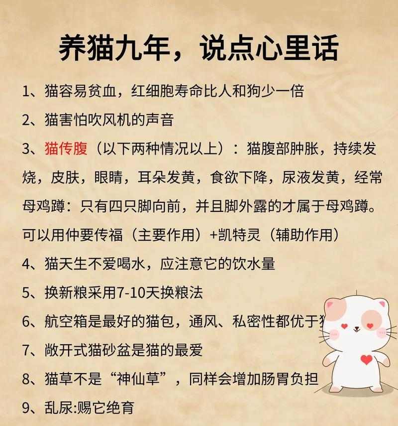 养猫必备7大注意事项,让你的猫咪健康快乐成长 养猫必备7大注意事项,让你的猫咪健康快乐成长