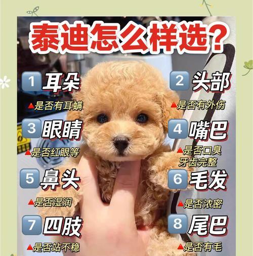 养护知识
