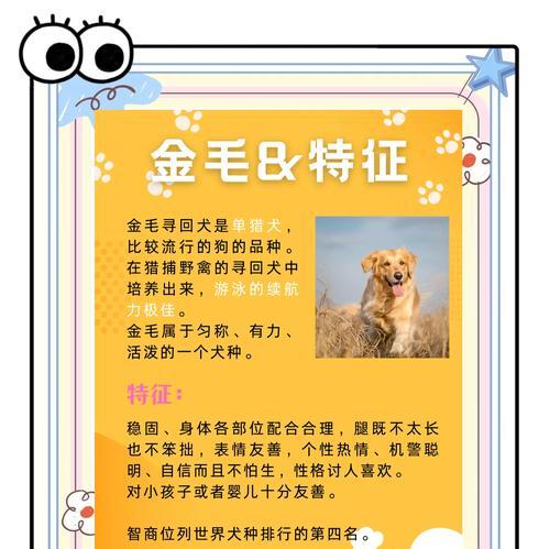 养护知识