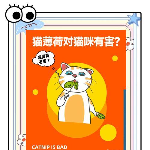 猫咪的15种神奇功能：从减压到护家的全方位陪伴