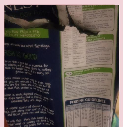 柯基3个月幼犬营养需求与狗粮选择指南