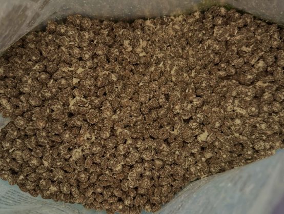 喵铮铮鸽老大猫粮测评:高肉含量冻干猫粮性价比分析 喵铮铮鸽老大猫粮测评:高肉含量冻干猫粮性价比分析