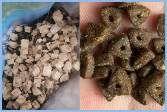 宠王府深海鱼冻干猫粮评测 enzyme解工艺提升消化吸收