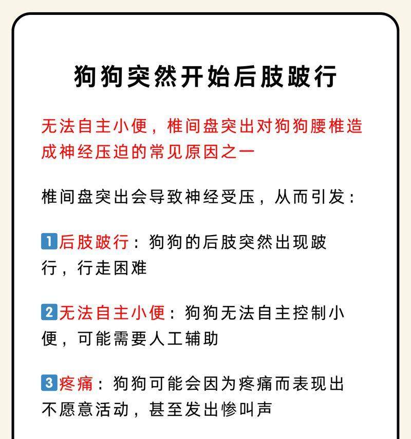 宠物长时间不排尿的危害及解决方法全攻略 宠物长时间不排尿的危害及解决方法全攻略