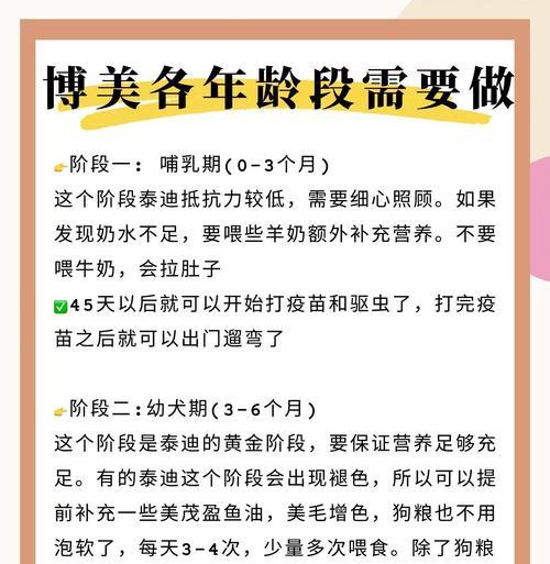 一个月大博美犬驱虫指南：安全用药与健康管理