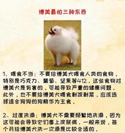 一个月大博美犬驱虫指南：安全用药与健康管理