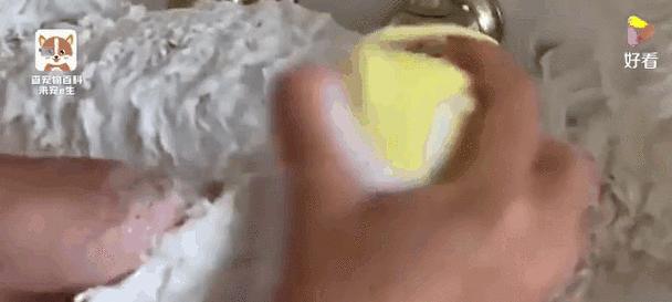 狗狗打完芯片后多久能洗澡,伤口护理全攻略 狗狗打完芯片后多久能洗澡,伤口护理全攻略