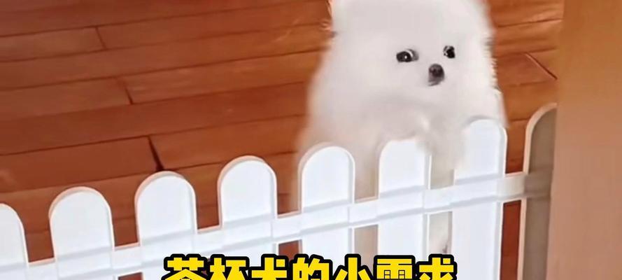 养护知识