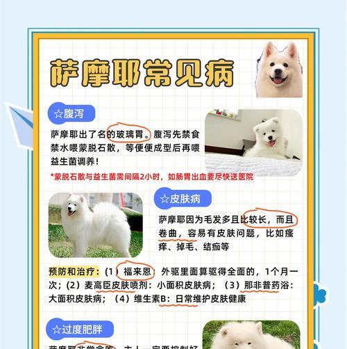 女性月经周期完全指南：了解经期规律维护身体健康