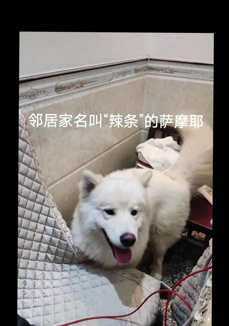 女性月经周期完全指南：了解经期规律维护身体健康