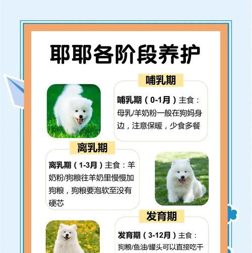养护知识