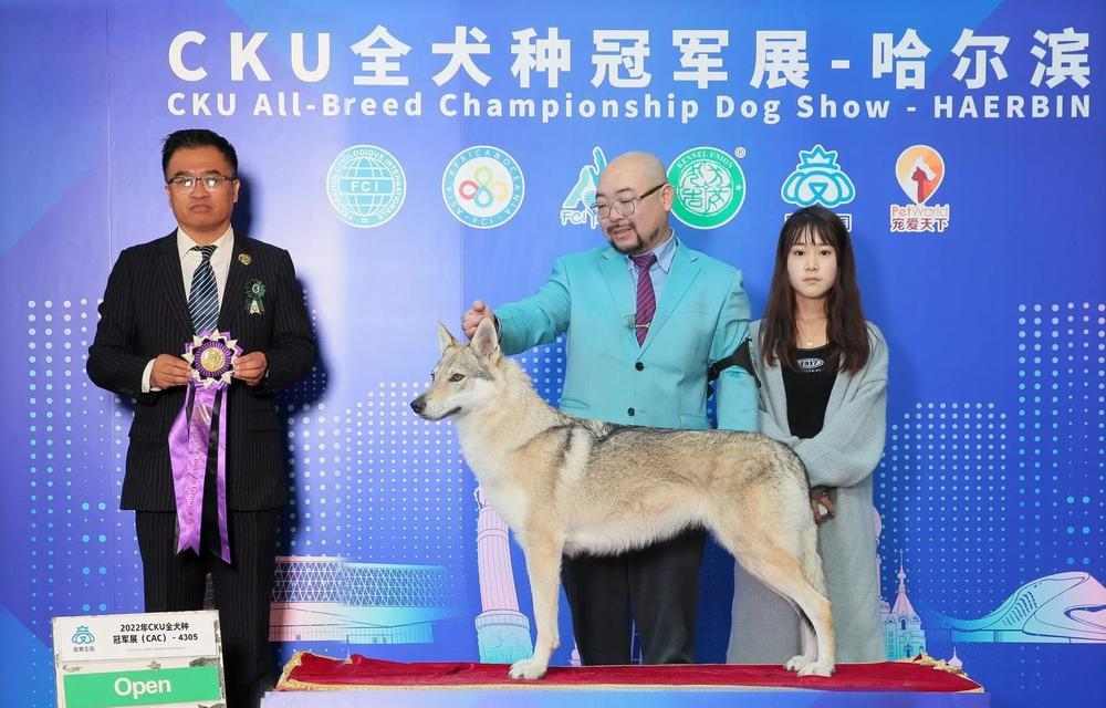 母狗产后恢复与CKU比赛时间安排全攻略 母狗产后恢复与CKU比赛时间安排全攻略