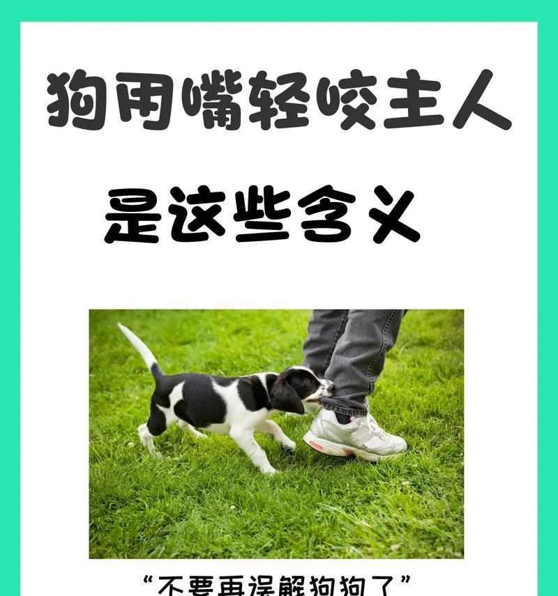 养护知识