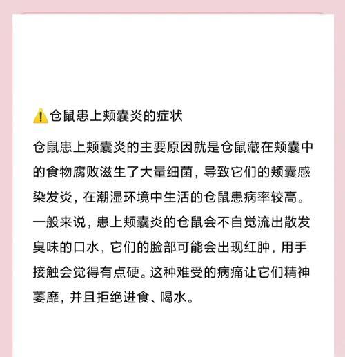 仓鼠颊囊食物储存时间全攻略|影响因素解析 仓鼠颊囊食物储存时间全攻略|影响因素解析