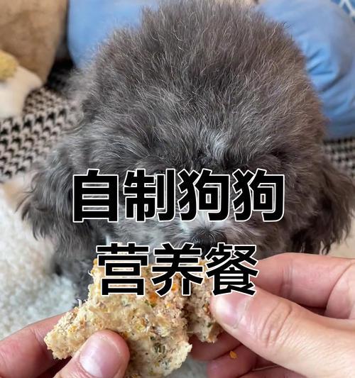 养护知识