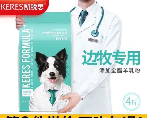 2个月边牧幼犬喂食指南｜科学分配狗粮健康成长