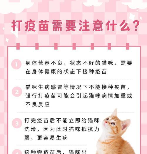 猫咪三连击能持续多久｜宠物养护实用指南