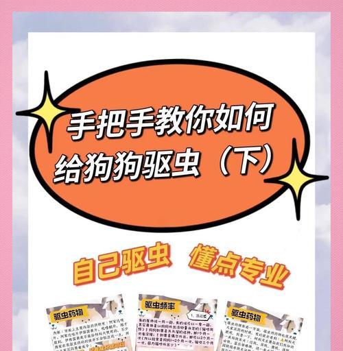 狗狗驱虫周期及关键因素｜宠物健康守护实用指南