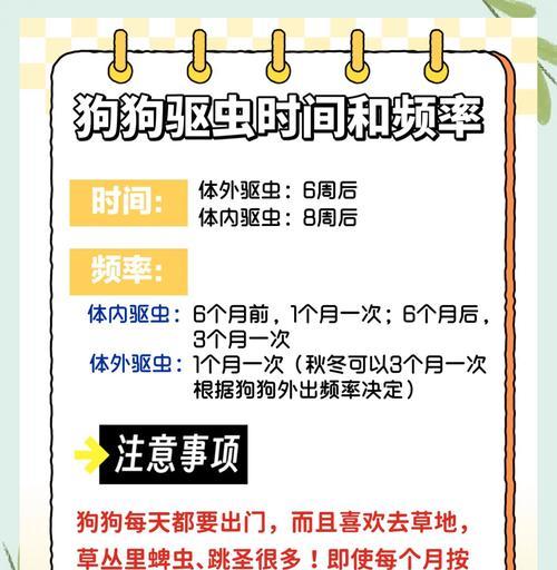 体外驱虫产品起效时间全攻略|如何快速见效 体外驱虫产品起效时间全攻略|如何快速见效