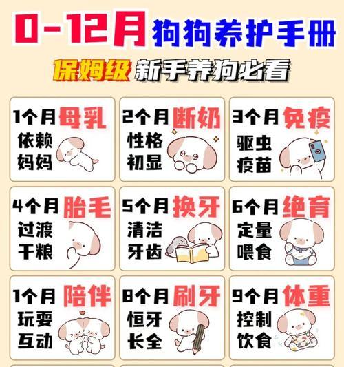 母狗产后洗澡时机与护理全攻略｜科学安排保护母犬幼犬健康